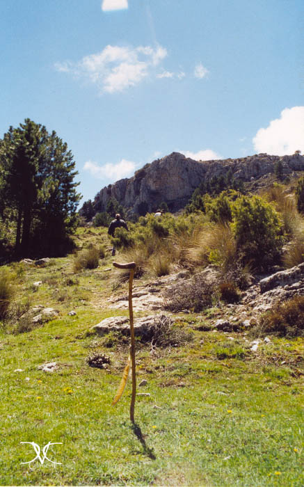Galería